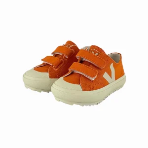 CANVAS MESH SMALL