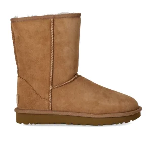 UGG CLASSIC SHORT II CHESTNUT BOOT